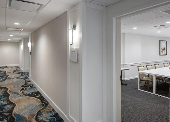 Top Hotels in the Vibrant South Tampa Area