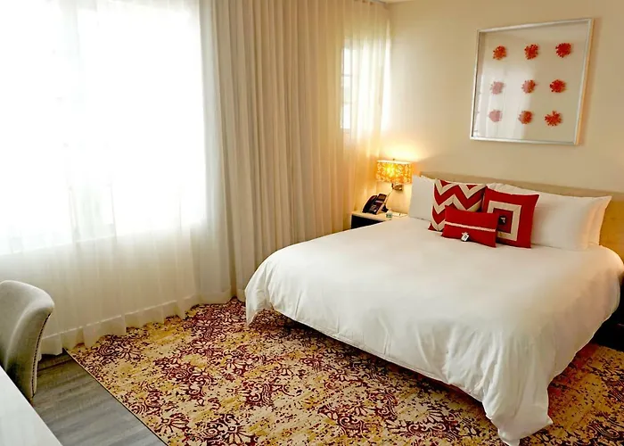 Top Miami Beach Condo Hotels for Lavish Stays